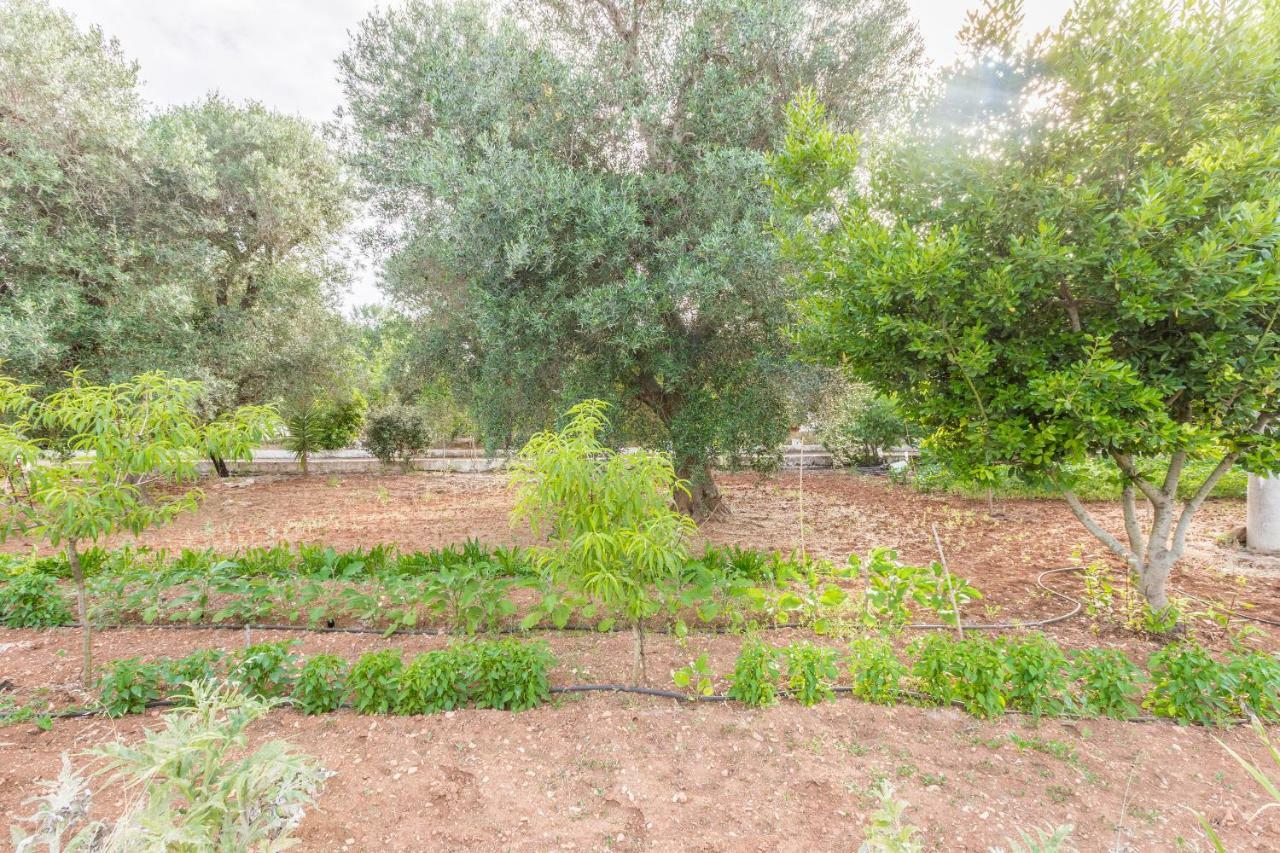 Lamia Di Nonna Mena Villa San Vito dei Normanni Ngoại thất bức ảnh